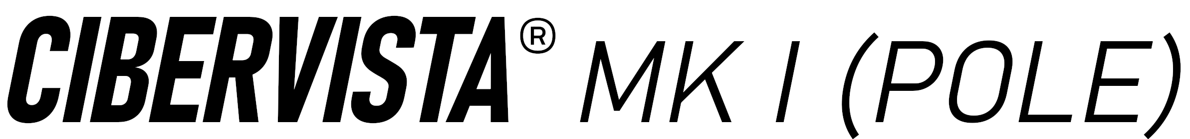 CIBERVISTA Mark I (POLE)